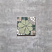 Nantes Green Tiles | Moroccan Tiles | 20cm x 20cm FULL TILE SAMPLE